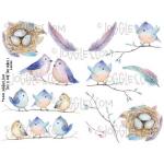 Joggles Collage Sheets - This Is For The Birds I [JG401105]