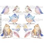 Joggles Collage Sheets - This Is For The Birds III [JG401112]