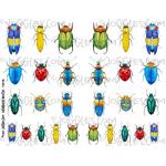 Joggles Collage Sheets - Watercolor Beetles I [JG401176]