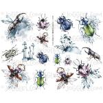 Joggles Collage Sheets - Watercolor Beetles 2 [JG401313]
