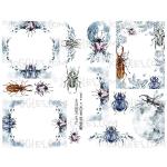 Joggles Collage Sheets - Watercolor Beetles 3 [JG401317]
