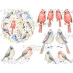 Joggles Collage Sheets - Watercolor Birds 2 [JG401217]