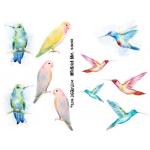 Joggles Collage Sheets - Watercolor Birds [JG401053]