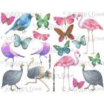 Joggles Collage Sheets - Watercolor Birds & Butterflies 1 [JG401264]