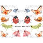Joggles Collage Sheets - Watercolor Insects I [JG401171]