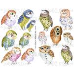 Joggles Collage Sheets - Watercolor Owls [JG401309]