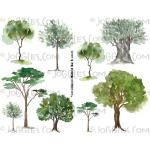 Joggles Collage Sheets - Watercolor Trees 1 [JG401260]