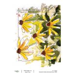 Joggles / Elizabeth St Hilaire A4 Rice Paper - Black Eyed Susan [74842]
