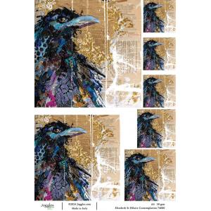 Joggles / Elizabeth St Hilaire A4 Rice Paper - Ravens - Contemplation [74680]
