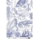 Joggles / Elizabeth St Hilaire A4 Rice Paper - The Aquatic Life [74273]
