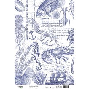 Joggles / Elizabeth St Hilaire A4 Rice Paper - The Aquatic Life [74273]