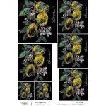 Joggles / Elizabeth St Hilaire A4 Rice Paper - The Art Of Eating - Limone On Black [74676]