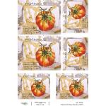 Joggles / Elizabeth St Hilaire A4 Rice Paper - The Art Of Eating - Pomodoro [74679]