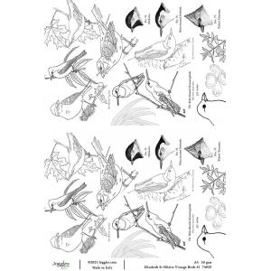 Joggles / Elizabeth St Hilaire A4 Rice Paper - Vintage Birds #1 [74929]