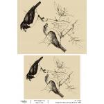 Joggles / Elizabeth St Hilaire A4 Rice Paper - Vintage Birds #4 [74932]