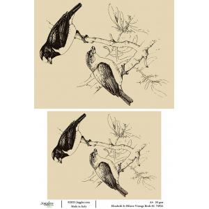 Joggles / Elizabeth St Hilaire A4 Rice Paper - Vintage Birds #4 [74932]