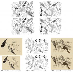 Joggles / Elizabeth St Hilaire A4 Rice Paper - Vintage Birds Set Of 5 July 2025