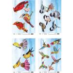 Joggles / Elizabeth St Hilaire A4 Rice Paper - Birds & Blooms Set Of 4