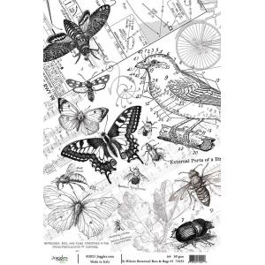 Joggles / Elizabeth St Hilaire A4 Rice Paper - Botanical Bees & Bugs #1 [74251]