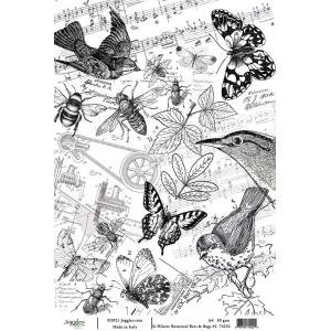 Joggles / Elizabeth St Hilaire A4 Rice Paper - Botanical Bees & Bugs #2 [74252]