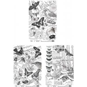 Joggles / Elizabeth St Hilaire A4 Rice Paper - Botanical Bees & Bugs Set Of 3