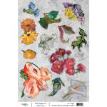 Joggles / Elizabeth St Hilaire A4 Rice Paper - Botanical Collage #4 [74546]