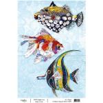 Joggles / Elizabeth St Hilaire A4 Rice Paper - Tropical Fish B [74397]