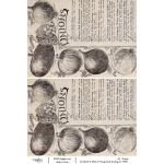 Joggles / Elizabeth St Hilaire A4 Rice Paper - Vintage Seed Catalogs #1 [74951]