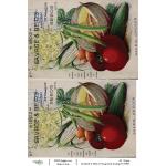 Joggles / Elizabeth St Hilaire A4 Rice Paper - Vintage Seed Catalogs #5 [74955]
