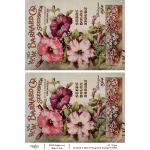 Joggles / Elizabeth St Hilaire A4 Rice Paper - Vintage Seed Catalogs #6 [74956]