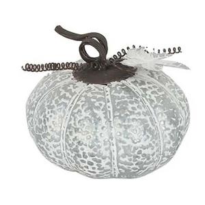 Joggles Galvanized Pumpkin
