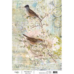 Joggles / Rebekah Meier A4 Rice Paper - Aviary [74470]
