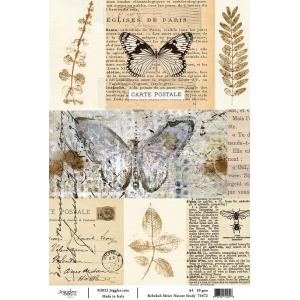 Joggles / Rebekah Meier A4 Rice Paper - Nature Study [74472]