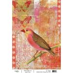 Joggles / Rebekah Meier A4 Rice Paper - Orange Pop [74473]