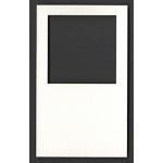 Joggles Specimen Cards - Square Watercolor - Medium [52404]