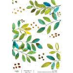 Joggles / Tiffany Sharpe A4 Rice Paper - Dewdrops Serenade - Forest Walk [52181]