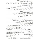 Joggles / Tiffany Sharpe A4 Rice Paper - Stitched Together - Bloom [52221]