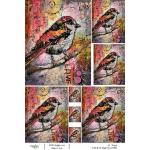 Joggles / Vikki Reed A4 Rice Paper - Birds 1 - Bright Eyed [74864]
