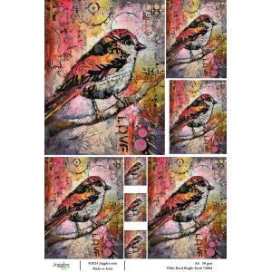 Joggles / Vikki Reed A4 Rice Paper - Birds 1 - Bright Eyed [74864]