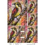 Joggles / Vikki Reed A4 Rice Paper - Birds 1 - Falling For You [74865]