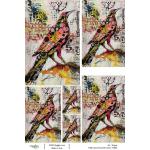 Joggles / Vikki Reed A4 Rice Paper - Birds 1 - I Don't See How [74866]