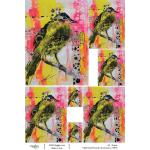 Joggles / Vikki Reed A4 Rice Paper - Birds 1 - Unusual Circumstances [74870]