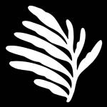 Joggles Watercolor Frond #15 [52539]