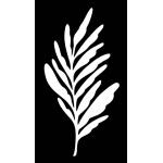 Joggles Watercolor Frond #17 [52541]