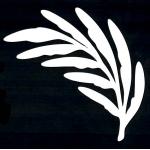 Joggles Watercolor Frond #5 [52371]