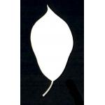 Joggles Watercolor Leaf #2 [52377]