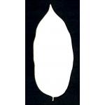 Joggles Watercolor Leaf #4 [52379]