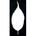 Joggles Watercolor Leaf #5 [52380]