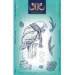 Katkin Krafts Clear Stamp Set - Wisdom Owl [KK0046]
