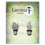 Lavinia Stamps - Rosemary & Thyme Pots [LAV948]